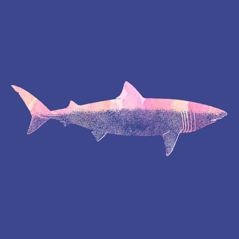 Shark Attack