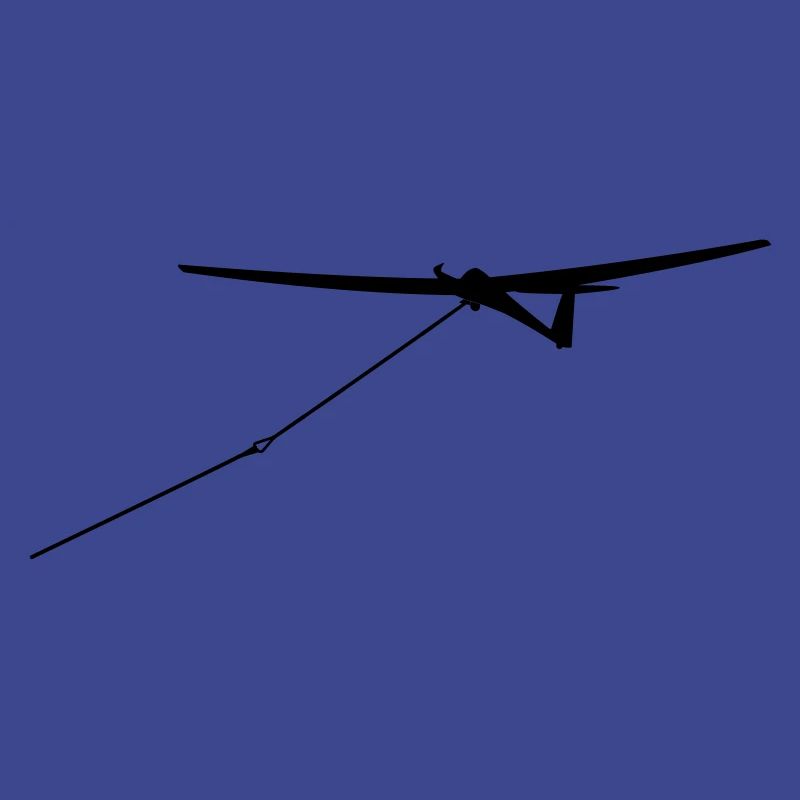 Glider Glider Glider Pilot Pilot