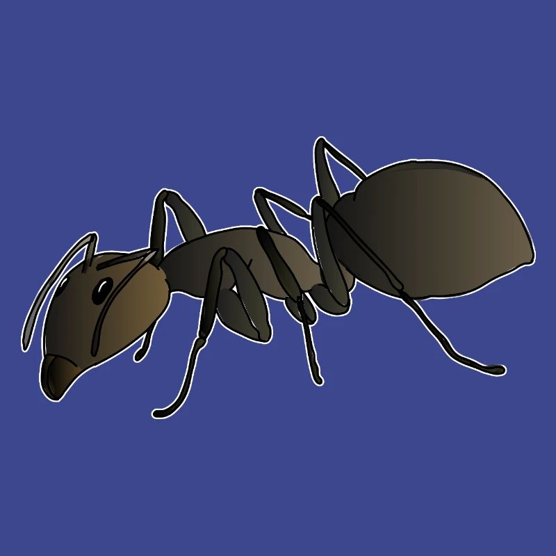 Ant