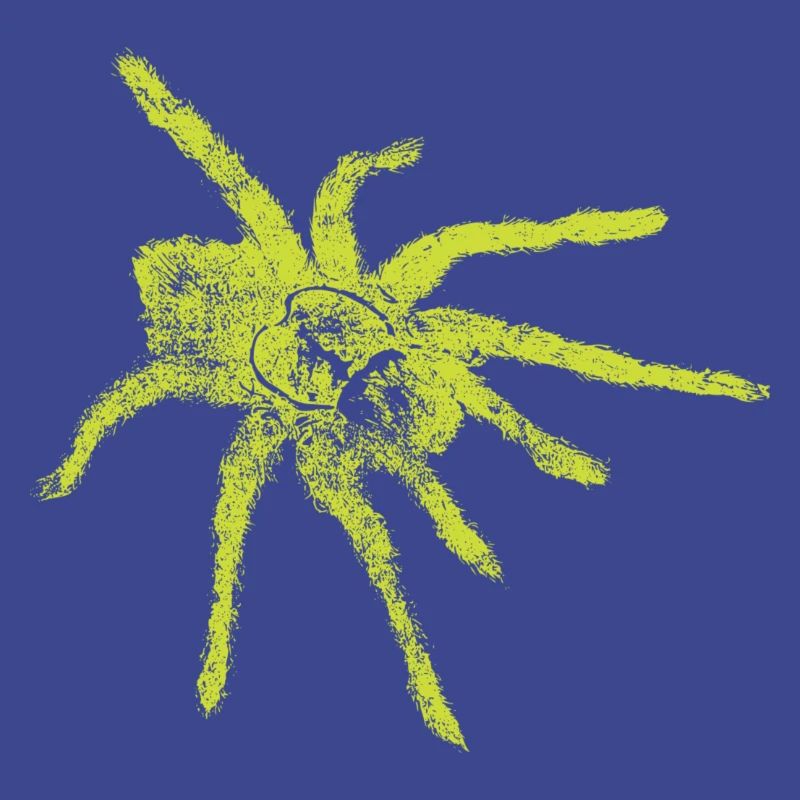 araignée