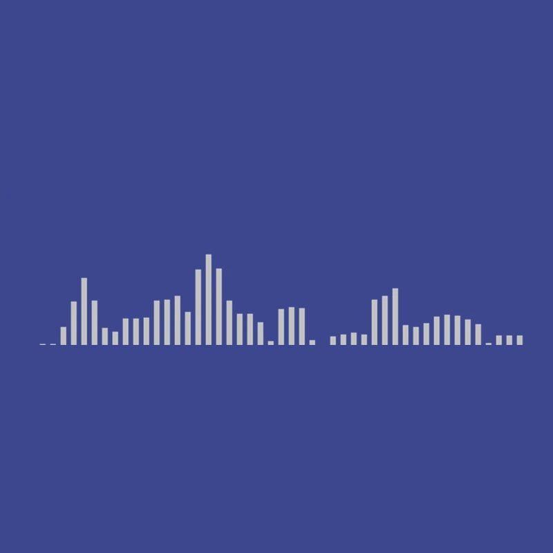 Visualizer