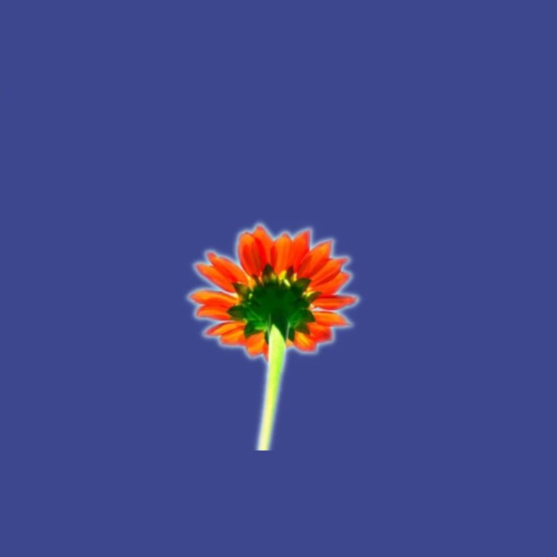 Simple red flower