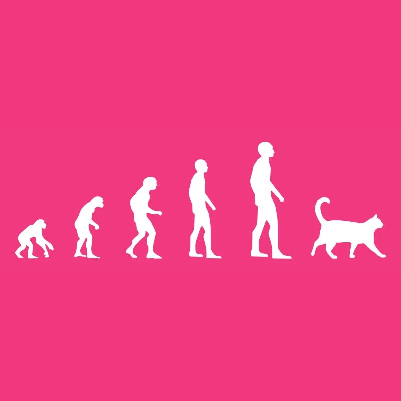 Chat - Evolution