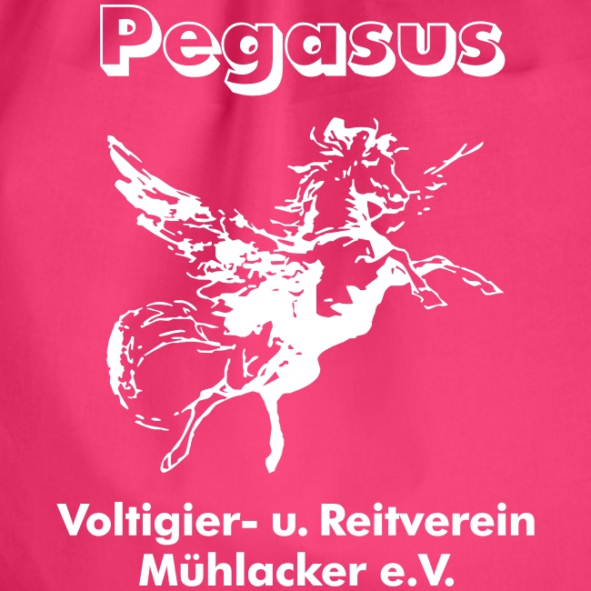 Pegasus Mühlacker Langarmshirts