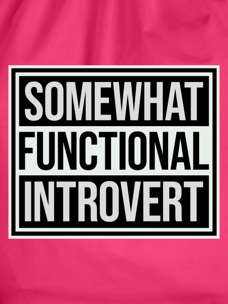 Somewhat Functional Introvert Spruch Logo Text