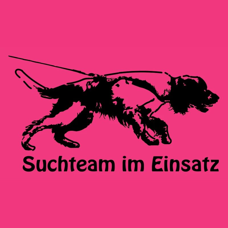 Mantrailing Springer-Spaniel