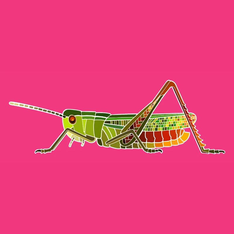 Heath grasshopper