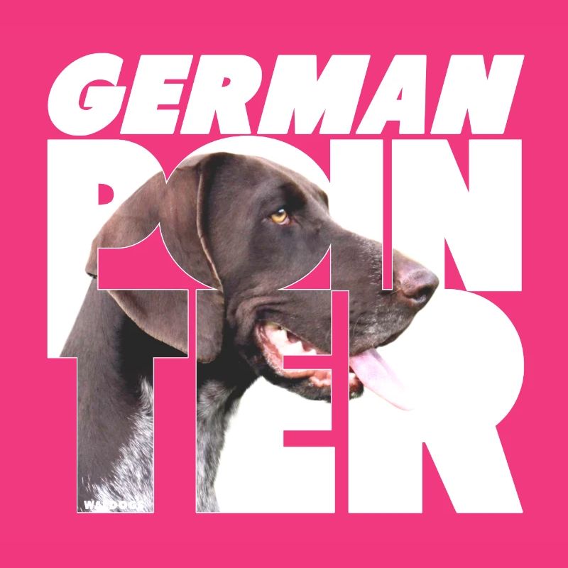 German Pointer VI