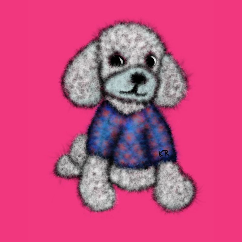 Pudelhund mit Pullover