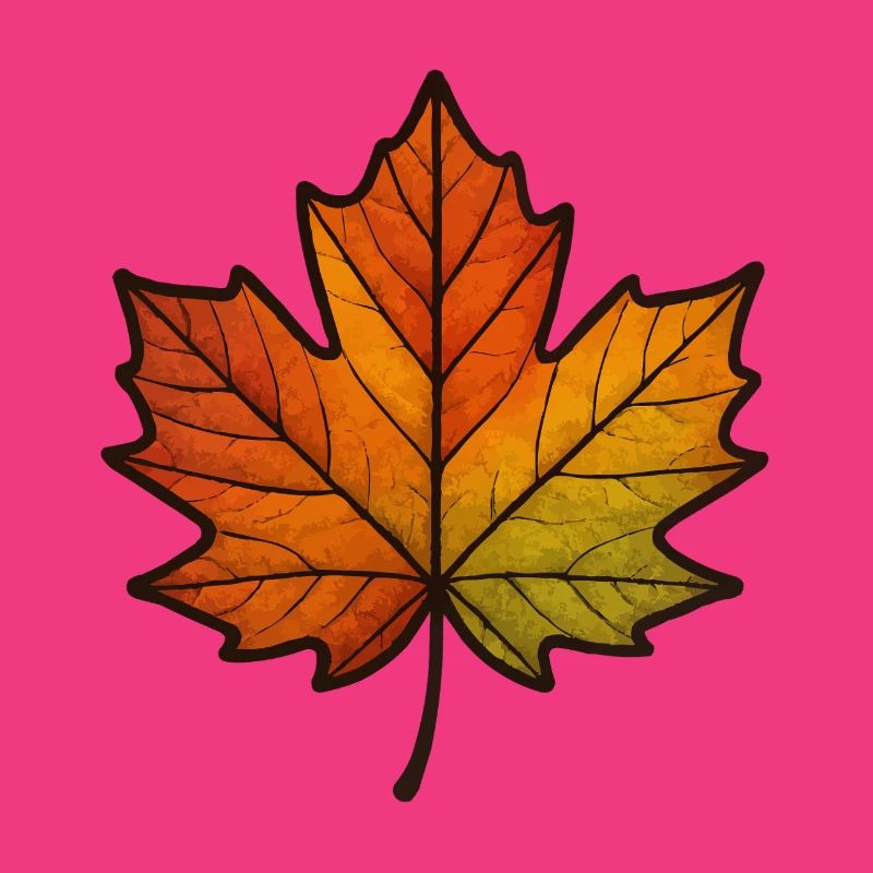 Leaf Autumn Maple Leaf