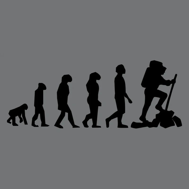 Wanderer Evolution