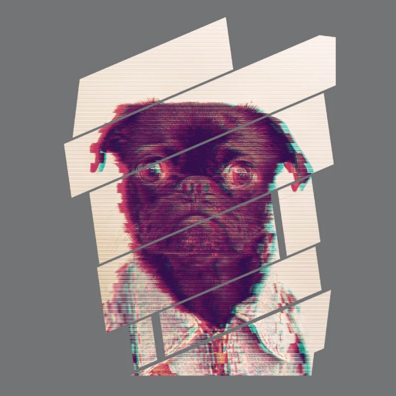Glitch Pug