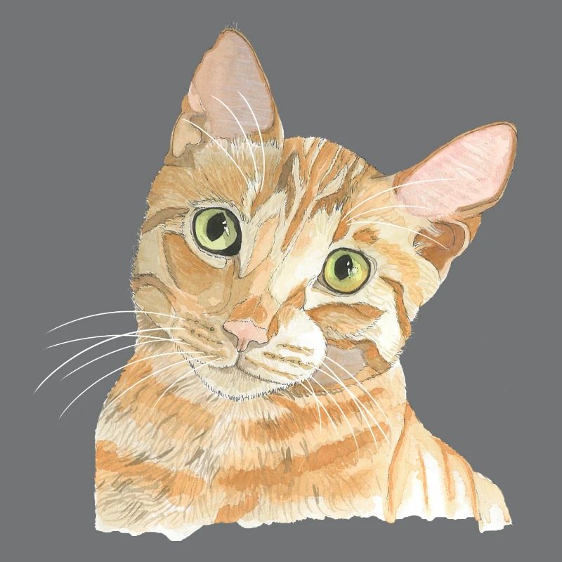 red cat
