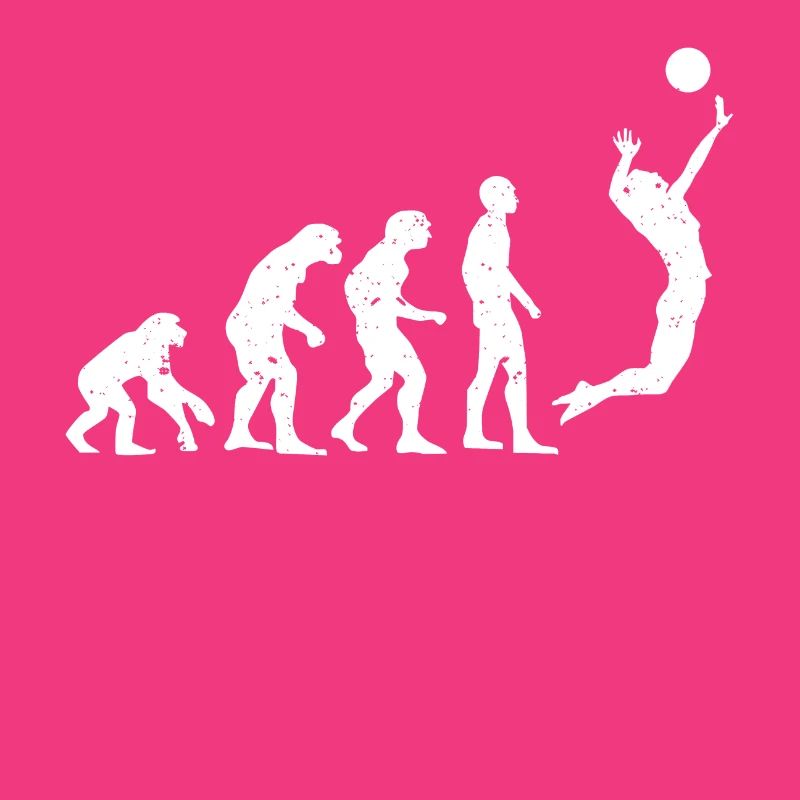 VOLLEYBALL EVOLUTION!