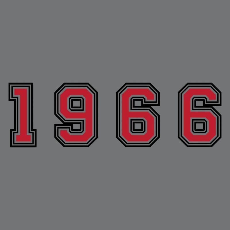 1966 year number