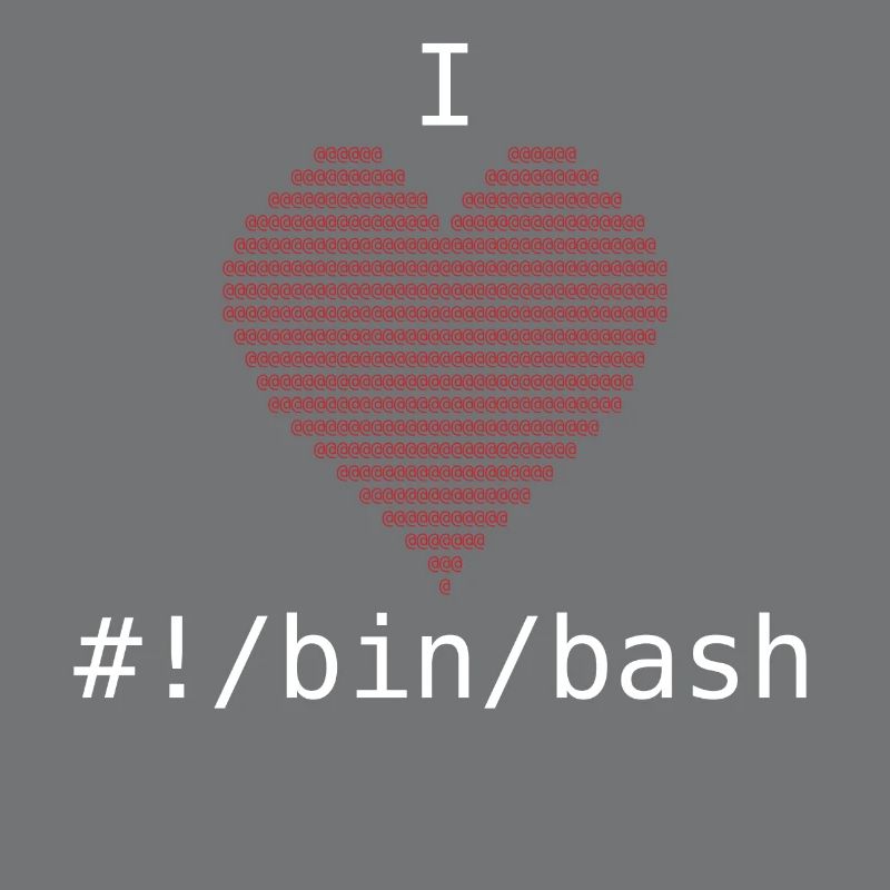I Love Bash Administrator Developer Gift
