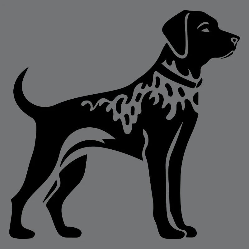 Dalmatiner Hund