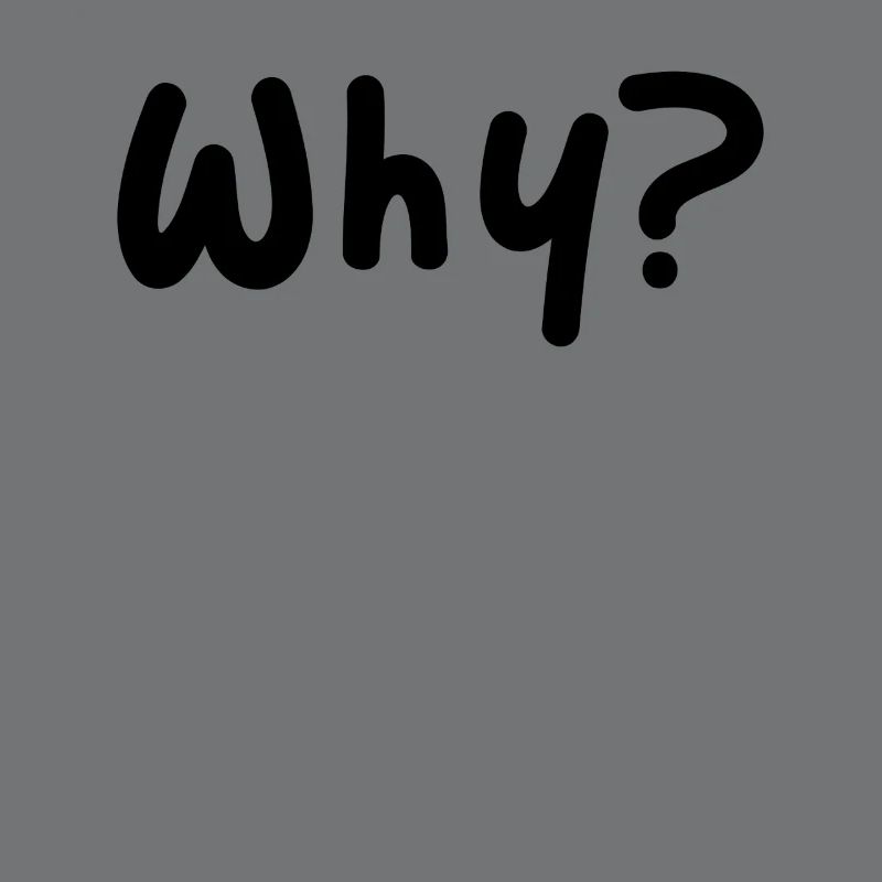 Why? Kid Core asks why