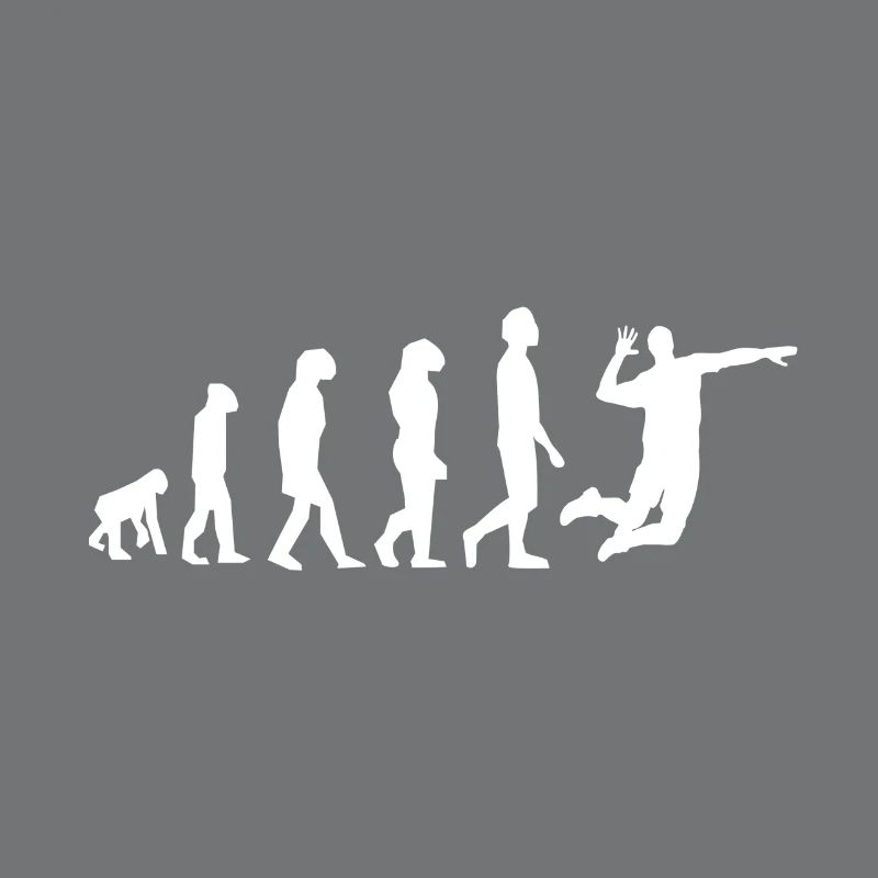 evolution volley