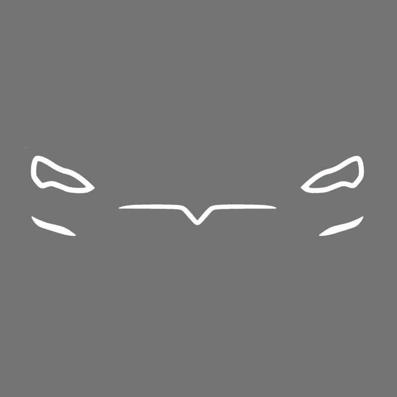 Model S Face
