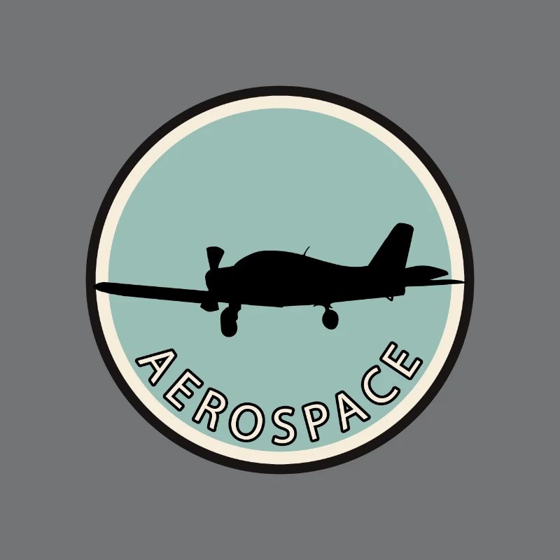 Aviation Flying Pilot