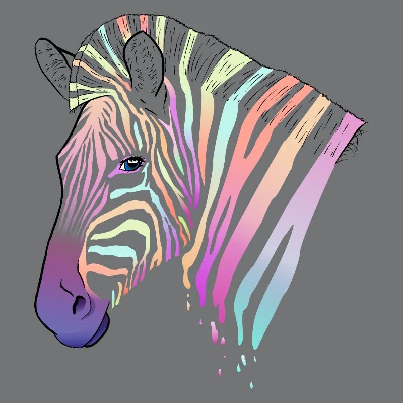 Rainbow zebra