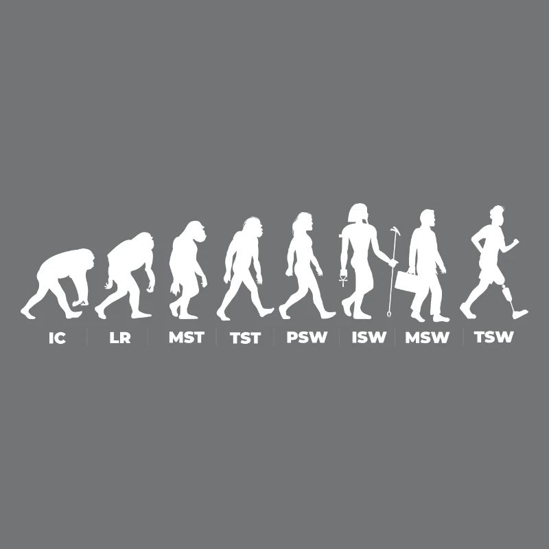 Die Evolution & der Gangzyklus (gOT it!)