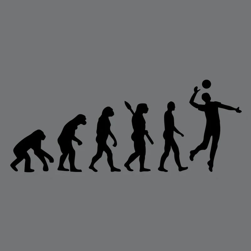 Evolution Volleyball