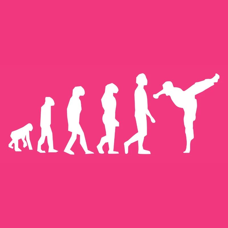 Art martiaux évolution