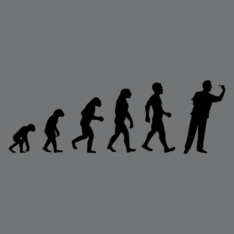 Evolution Darts