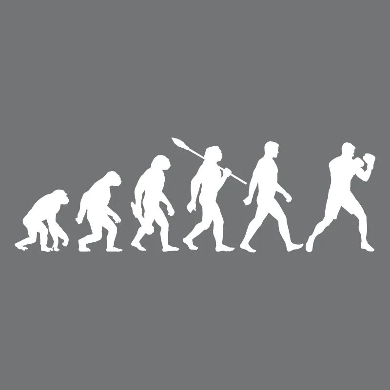 Evolution - Boxen, Kampfsport, Boxtraining