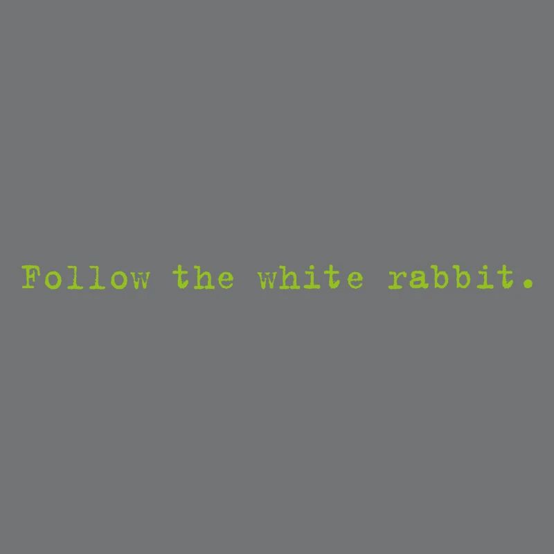 Follow the white rabbit Programming Informatik