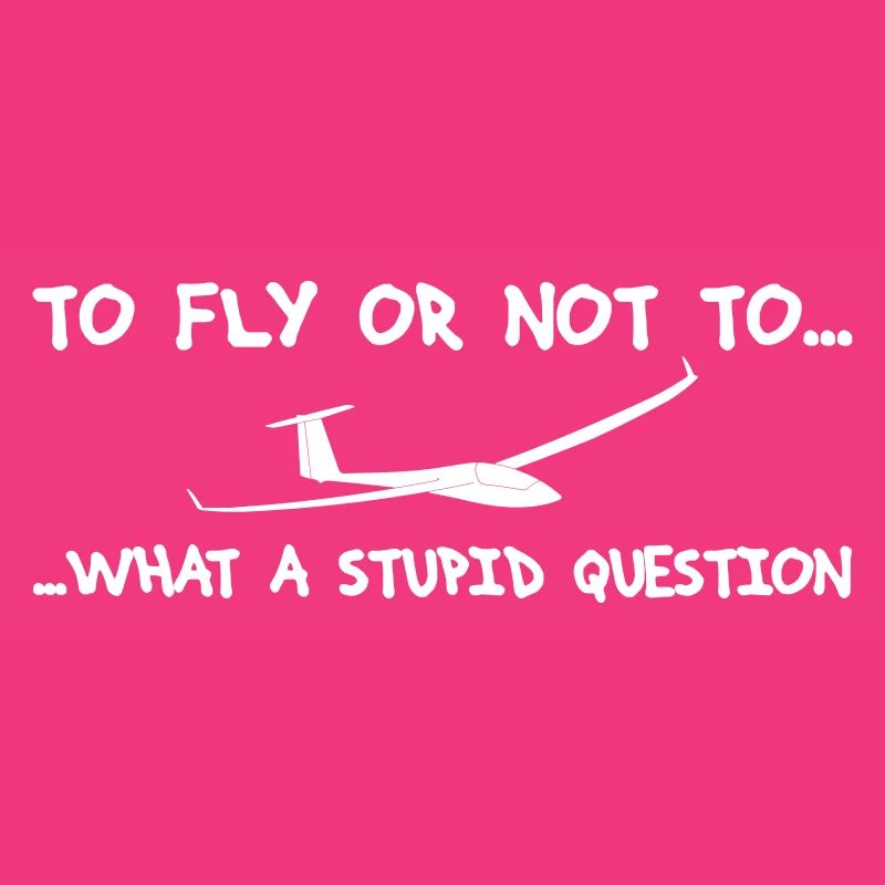 Question pilot glider pilot gliding glider