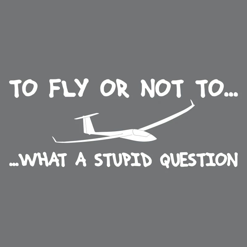 Question pilot glider pilot gliding glider