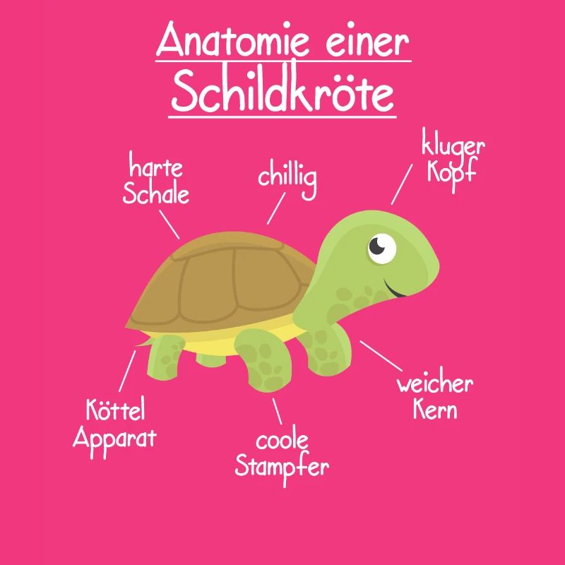 Anatomie einer Schildkröte