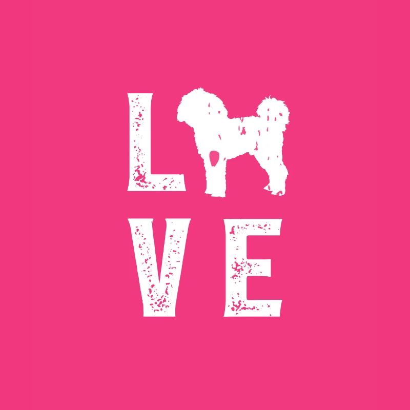 Cavapoo Love