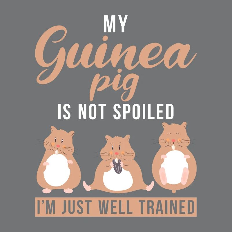 Cute Guinea Pig Gift