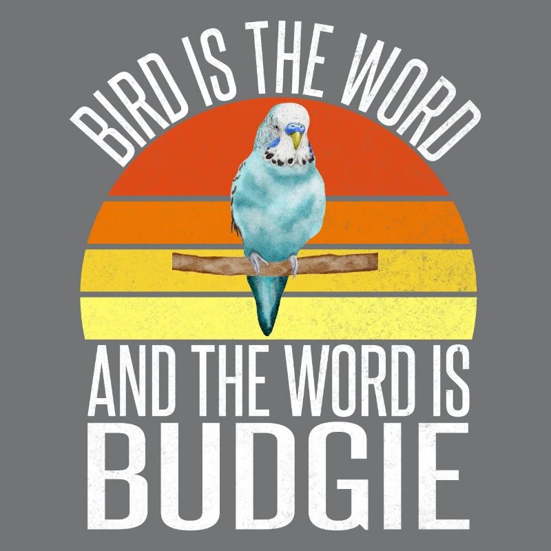 Budgie Gift