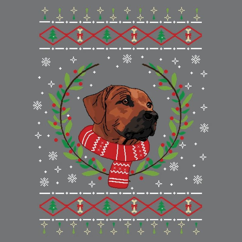 Pull de Noël laid Rhodesian Ridgeback