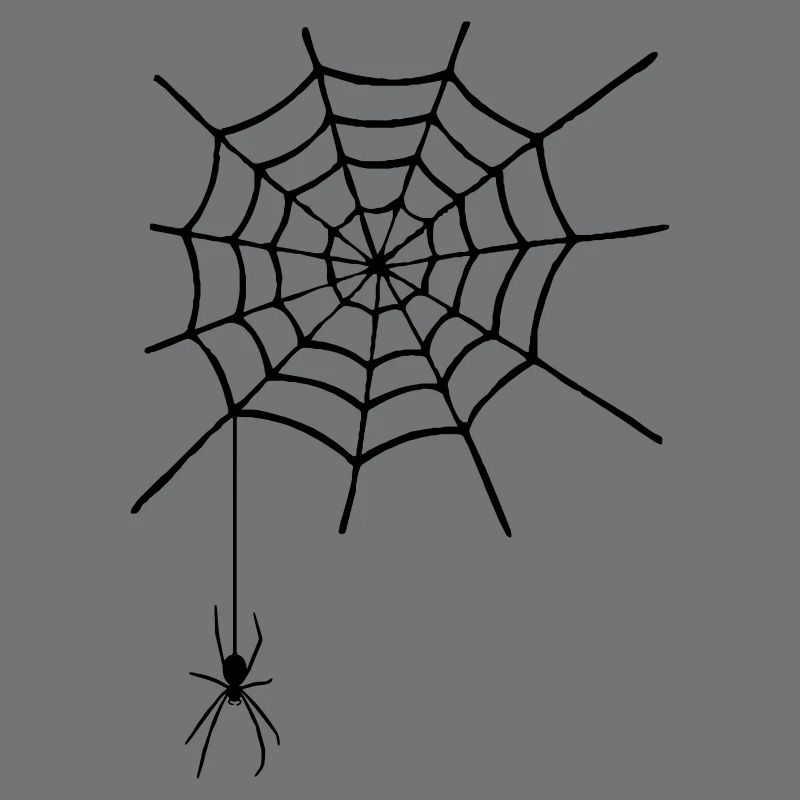 Cobweb with spider