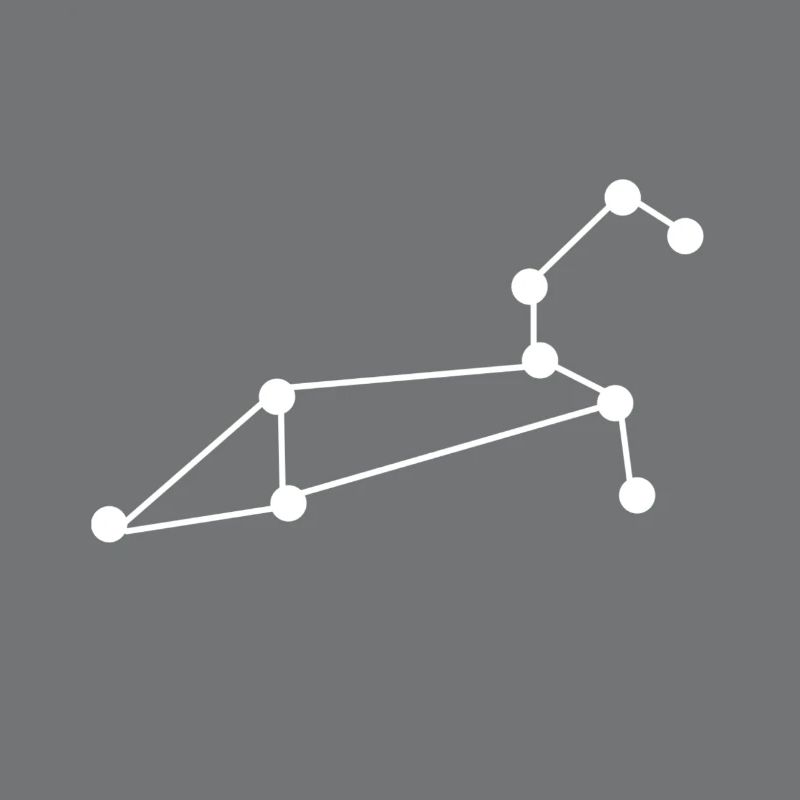 Constellation Leo