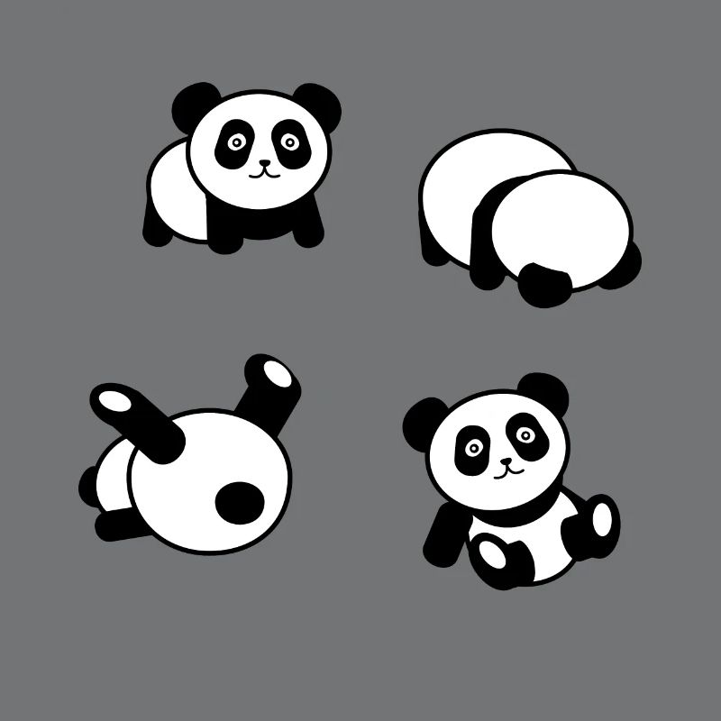 panda bear funny gift