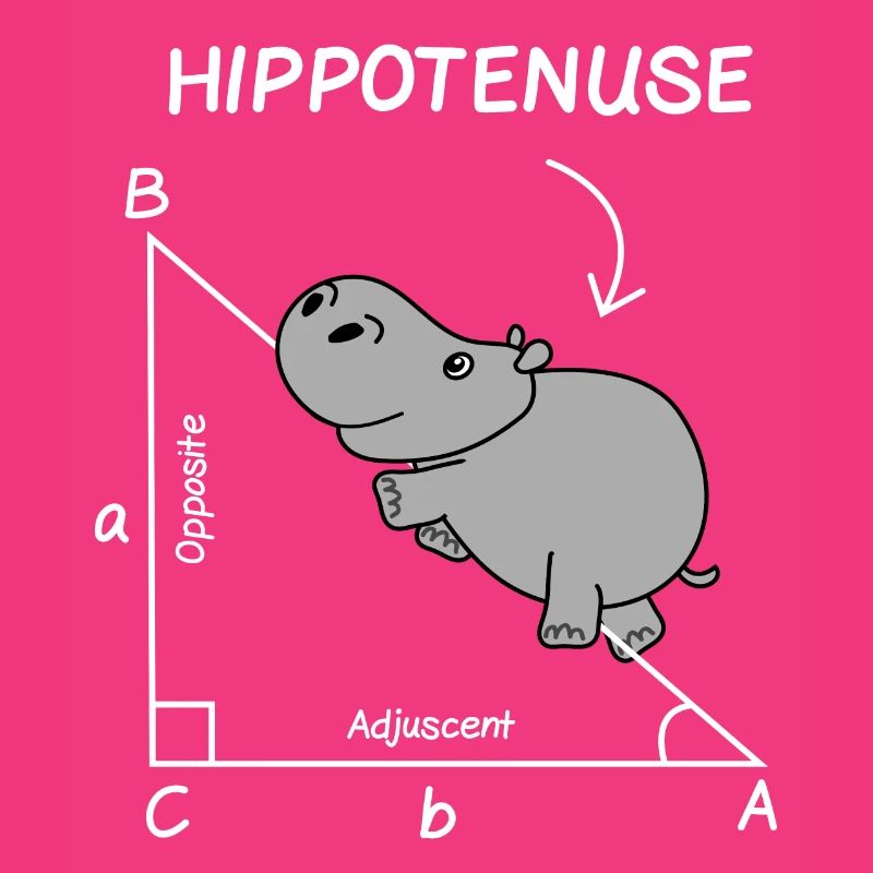 Math Teacher Student Engineer School