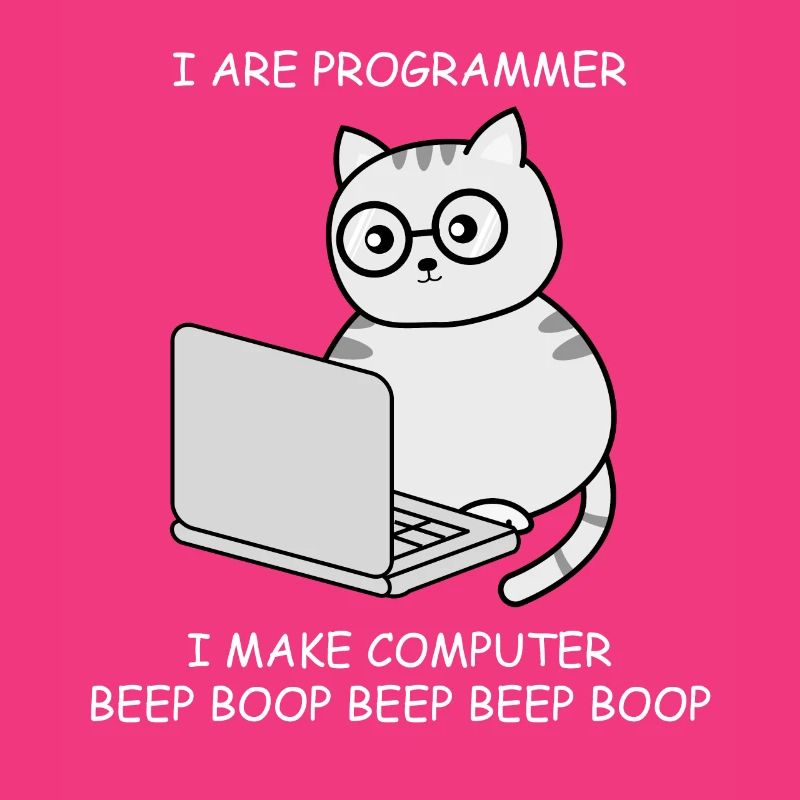 Informatiker Informatik Programmieren Ingenieur