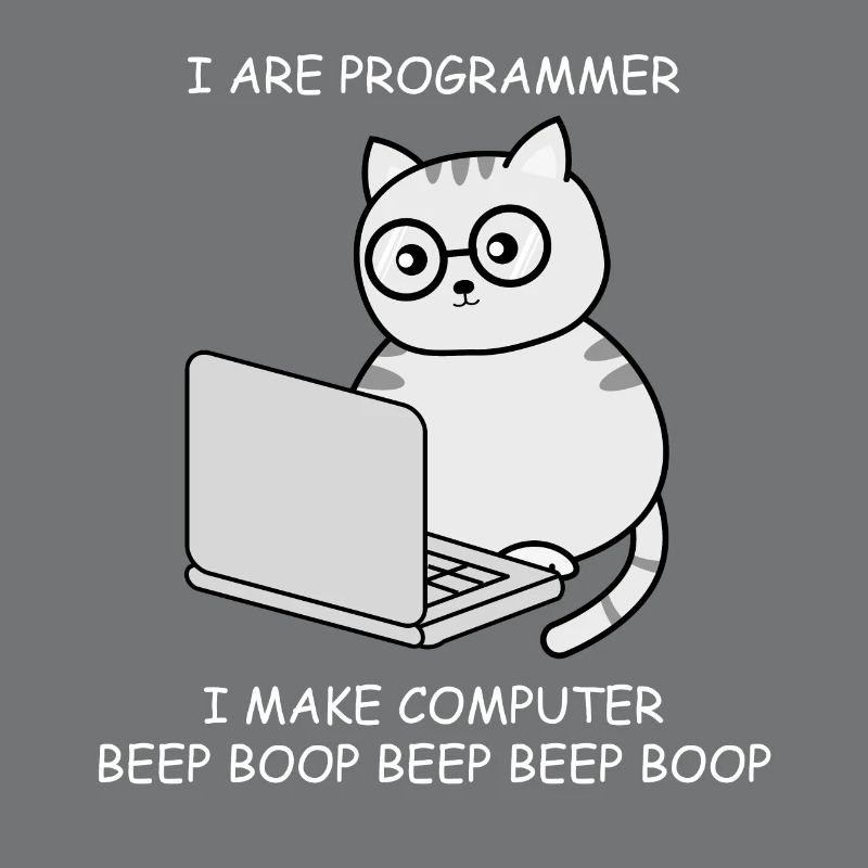 Informatiker Informatik Programmieren Ingenieur
