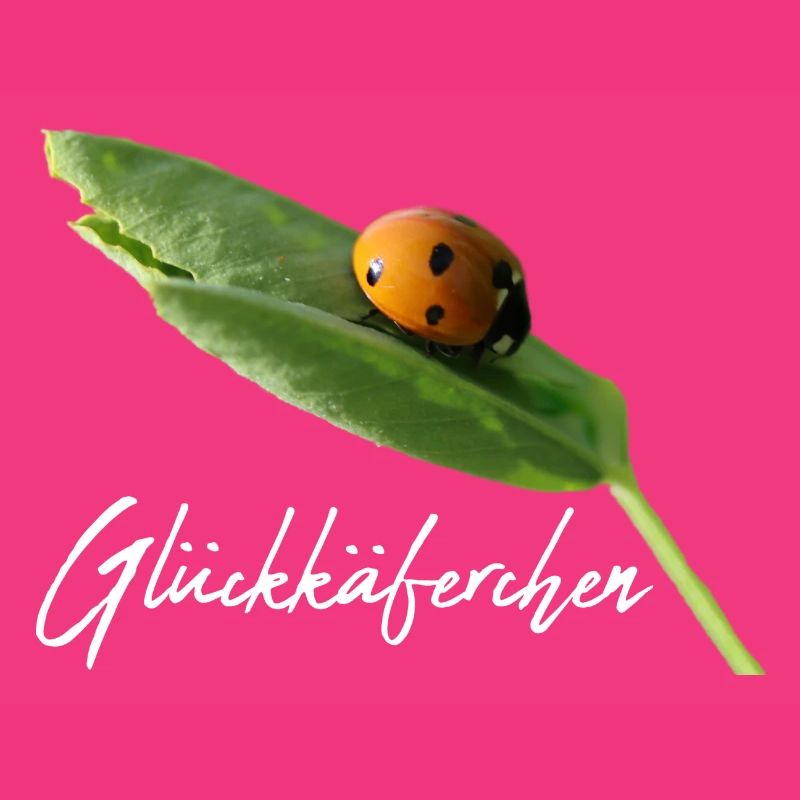 Lucky Beetle Ladybug Lucky Lucky Charm