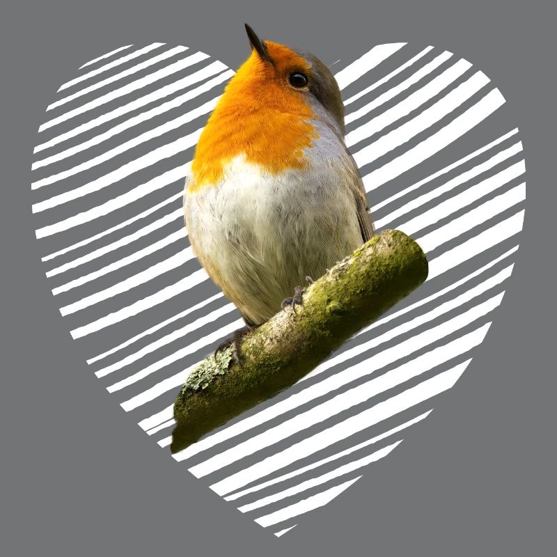 Rotkehlchen Singvogel
