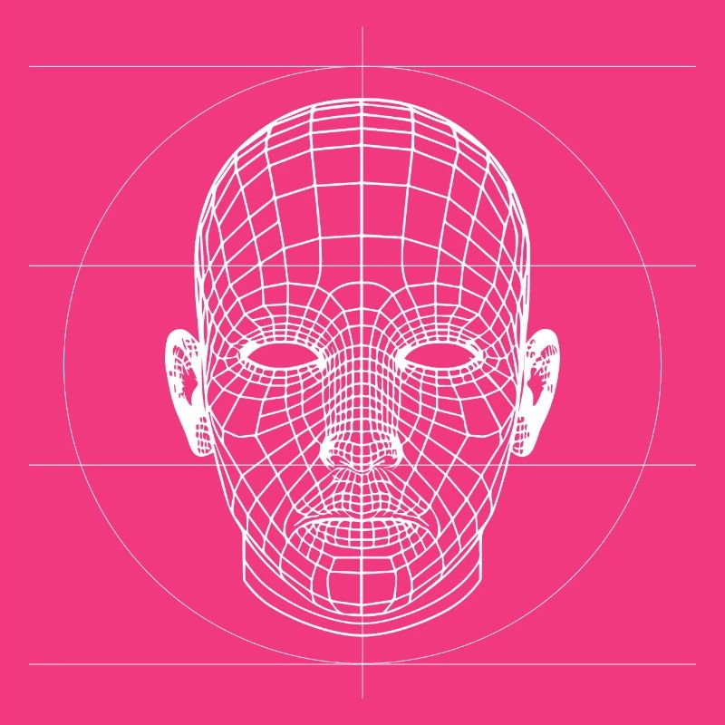 3D Wireframes Head