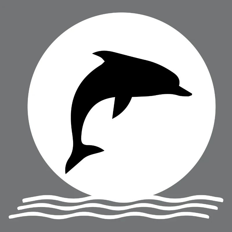 Dolphin dolphins