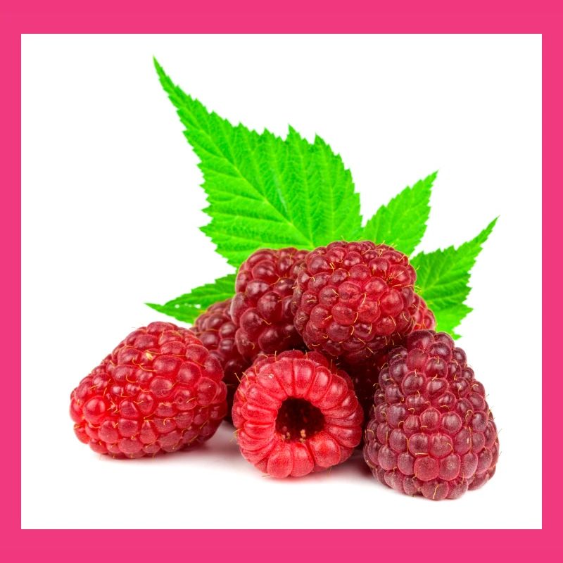 Himbeere. raspberry